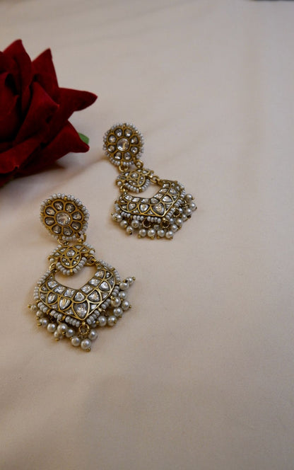 Rajnandini Earrings